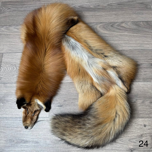Gold fox pelt (24)