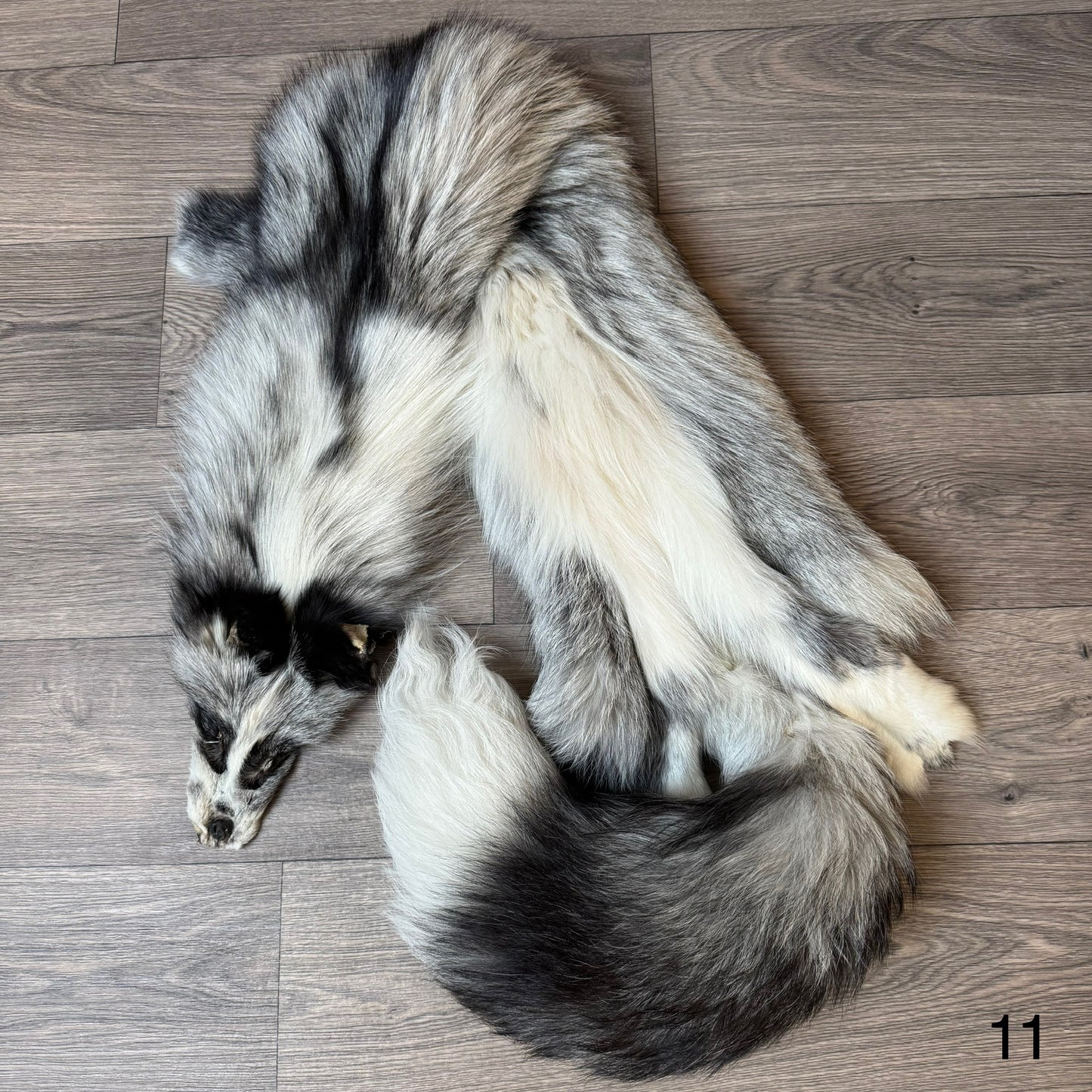 Platinum fox pelt (11)
