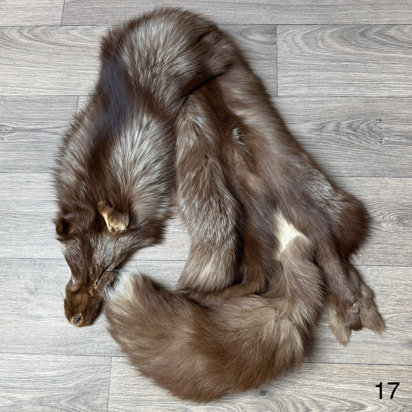 Burgundy fox pelt (17)