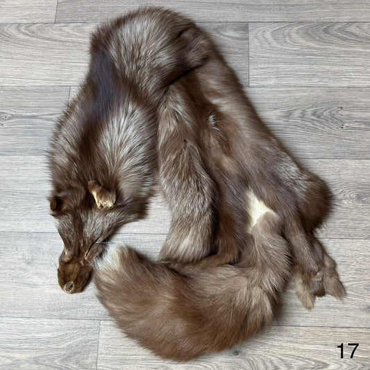 Burgundy fox pelt (17)