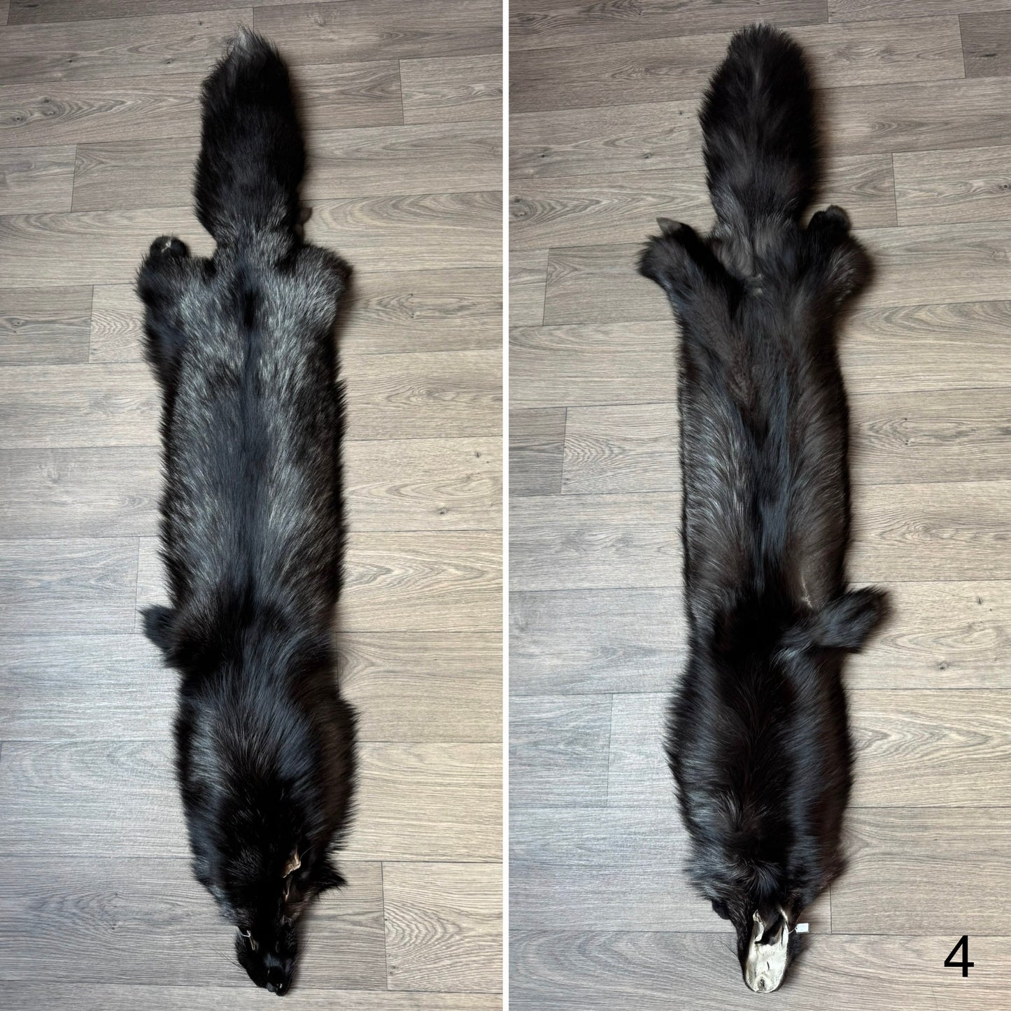 Silver fox pelt (4)