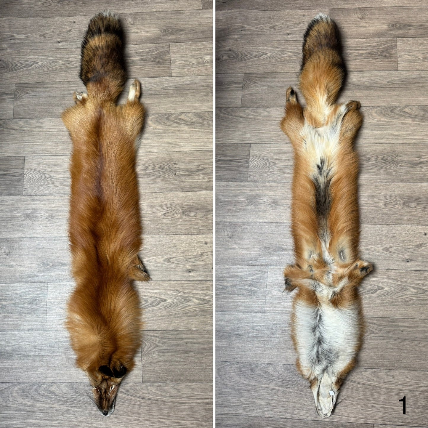 Gold fox pelt (1)