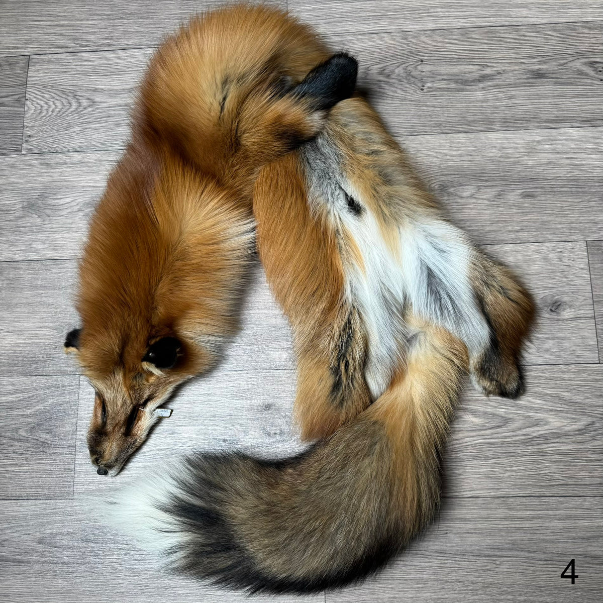 Gold fox pelt (4)