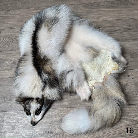 Marble tanuki pelt (16)