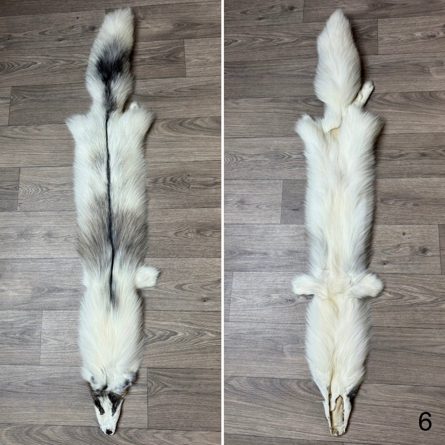 Cross Marble fox pelt (6)