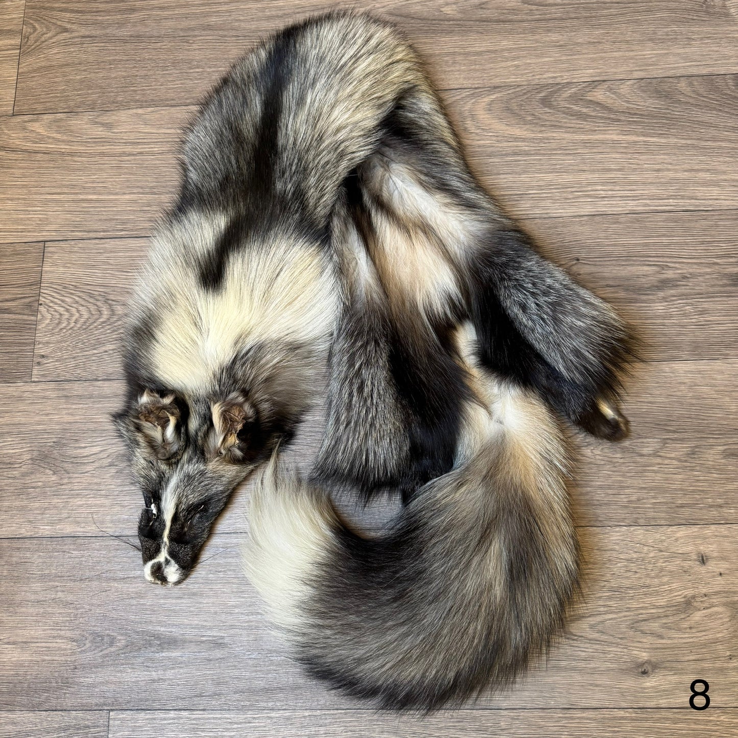 Cross Whitemark fox pelt (8)