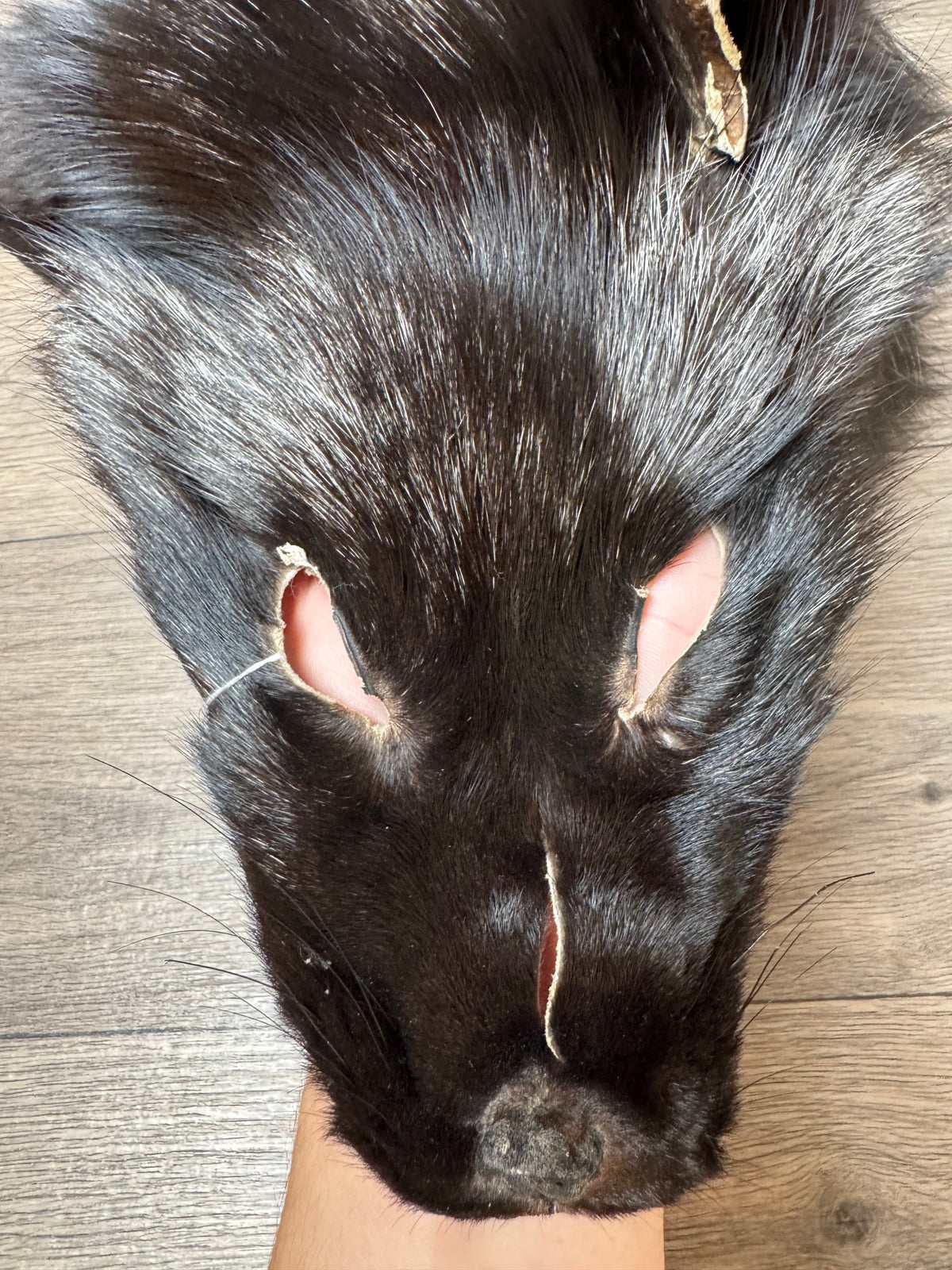 Silver fox pelt (4)