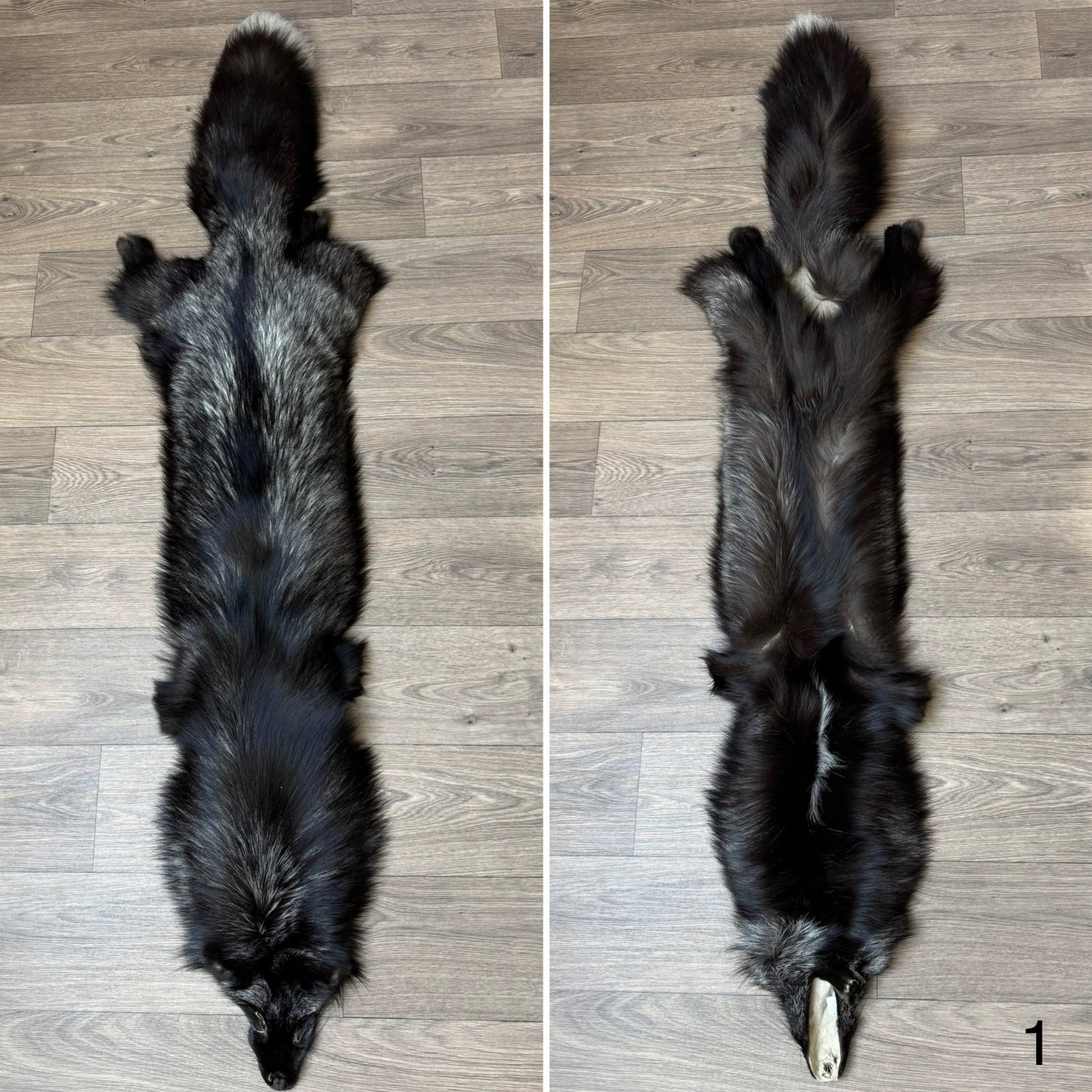 Silver fox pelt (1)