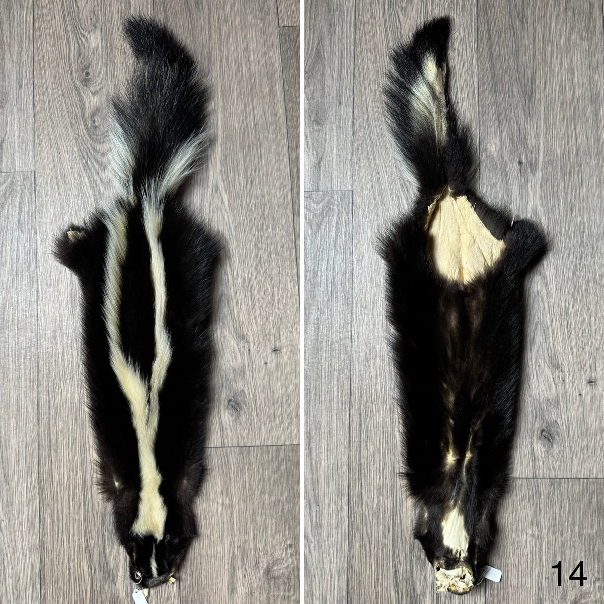 Skunk pelt (14)