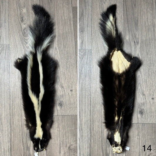 Skunk pelt (14)