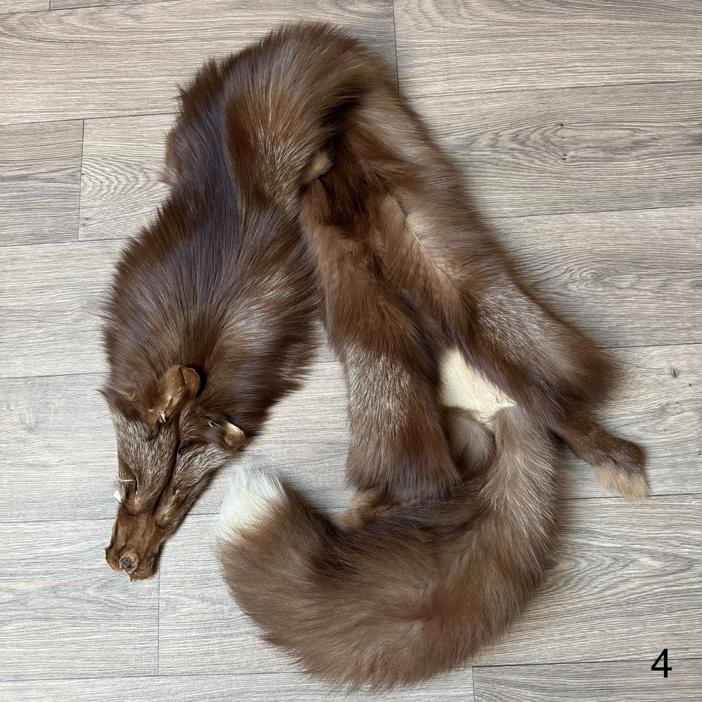 Burgundy fox pelt (4)