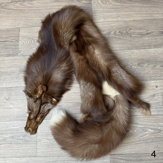 Burgundy fox pelt (4)