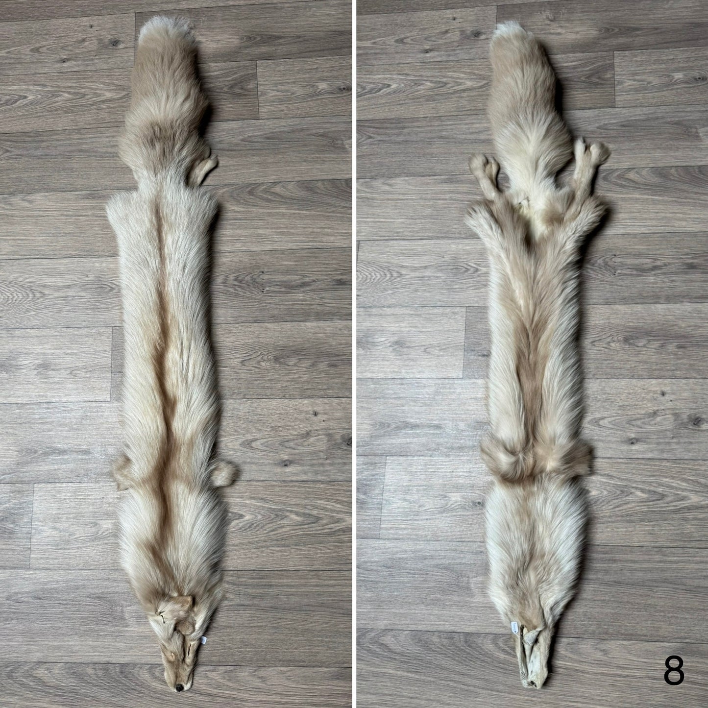Amber fox pelt (8)