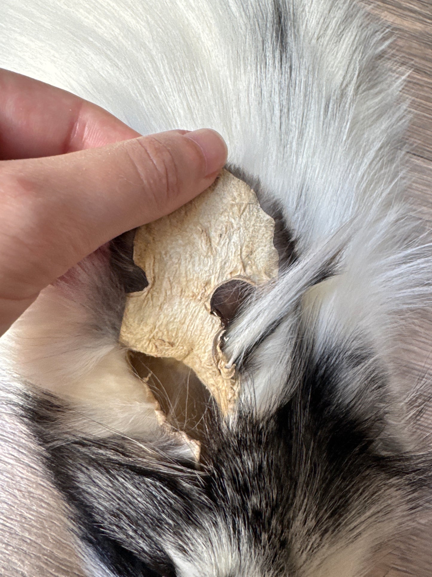 Cross Marble fox pelt (8)