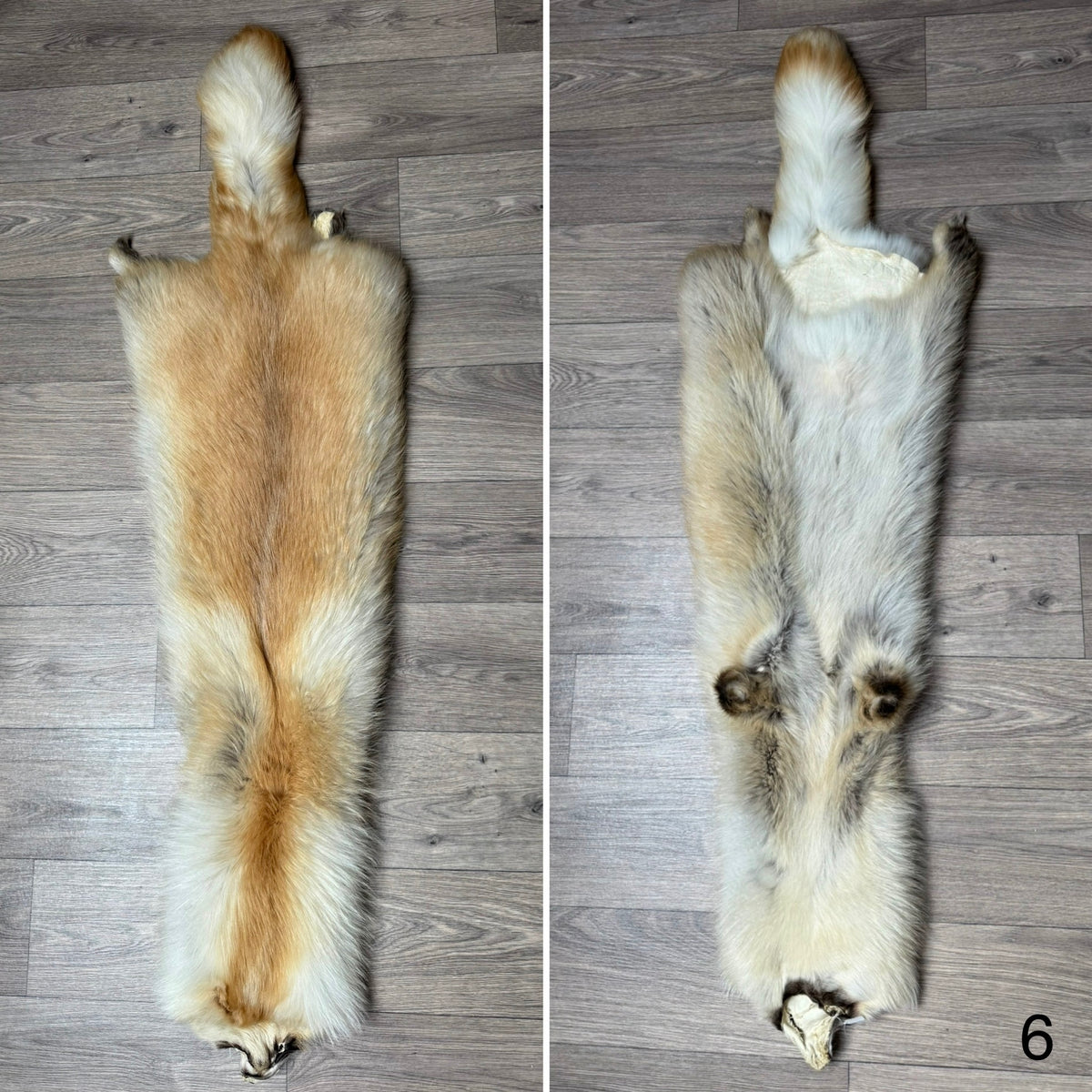 Arctic tanuki pelt (6)