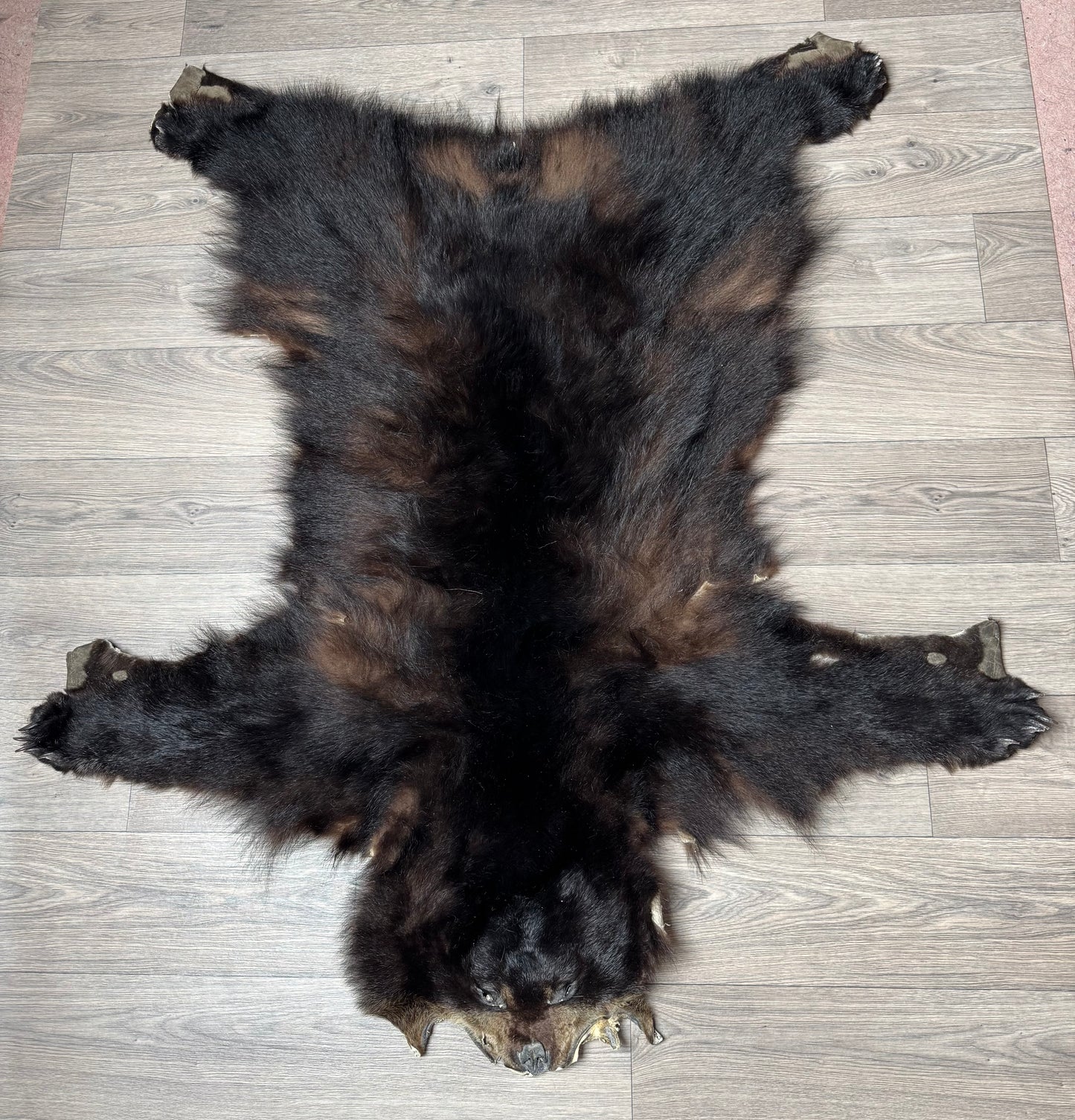 Black bear hide (1)