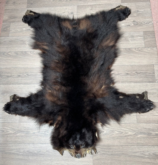 Black bear hide (1)