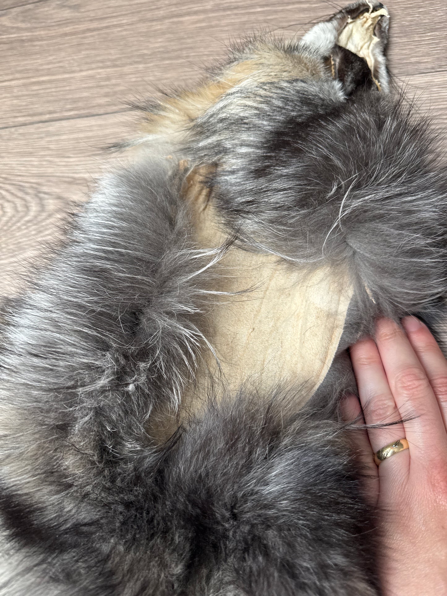 Smokey fox pelt (8)