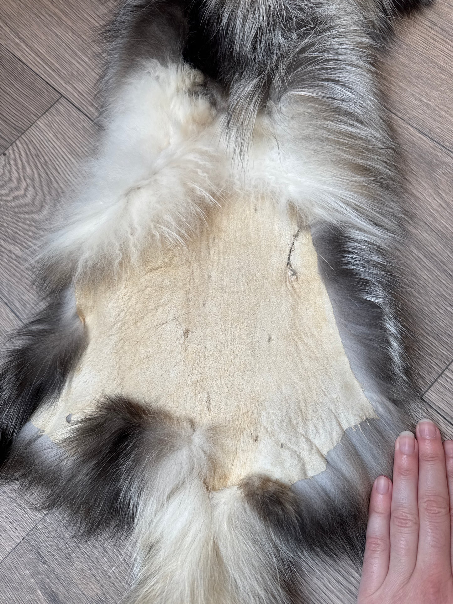 Cross Whitemark fox pelt (3)