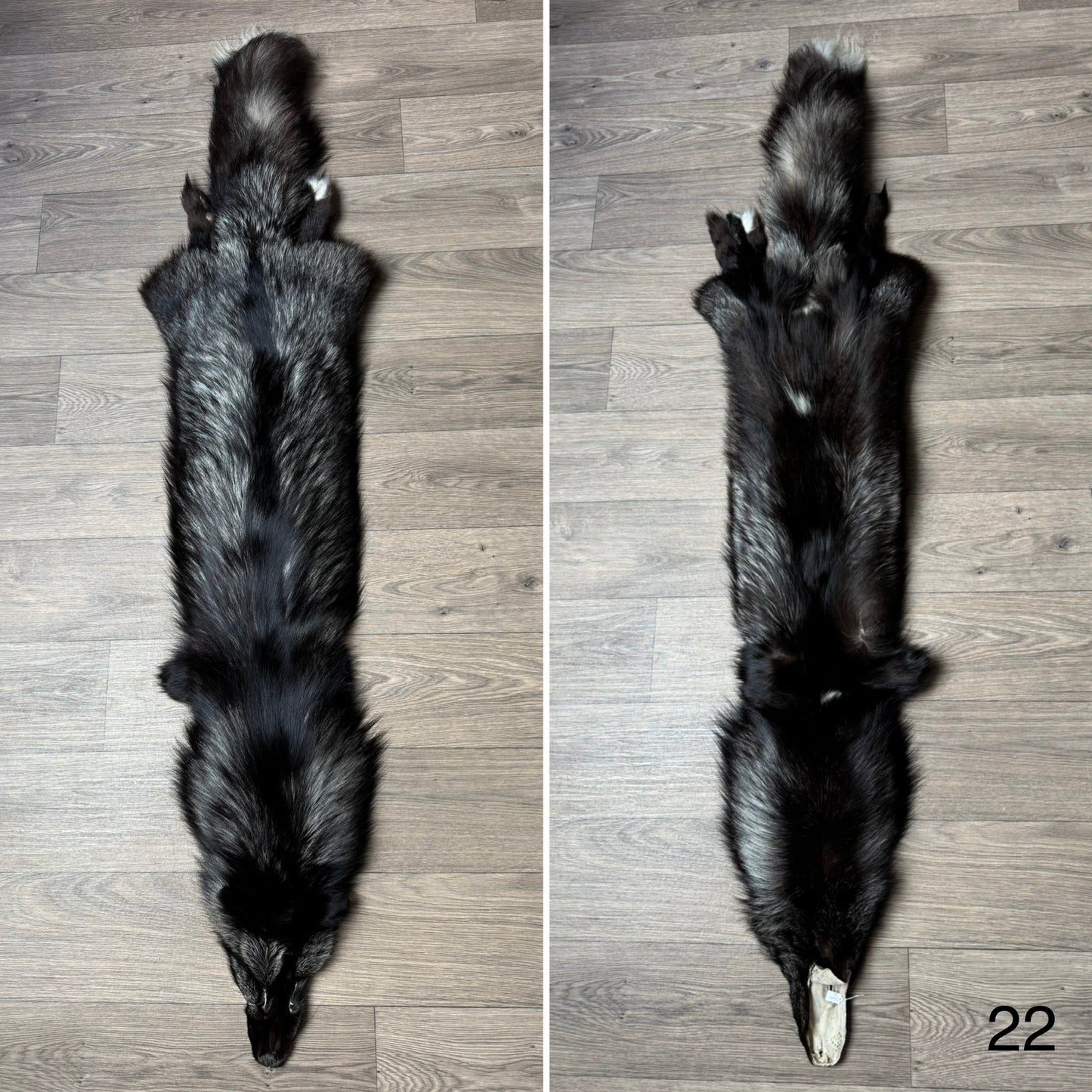 Silver fox pelt (22)