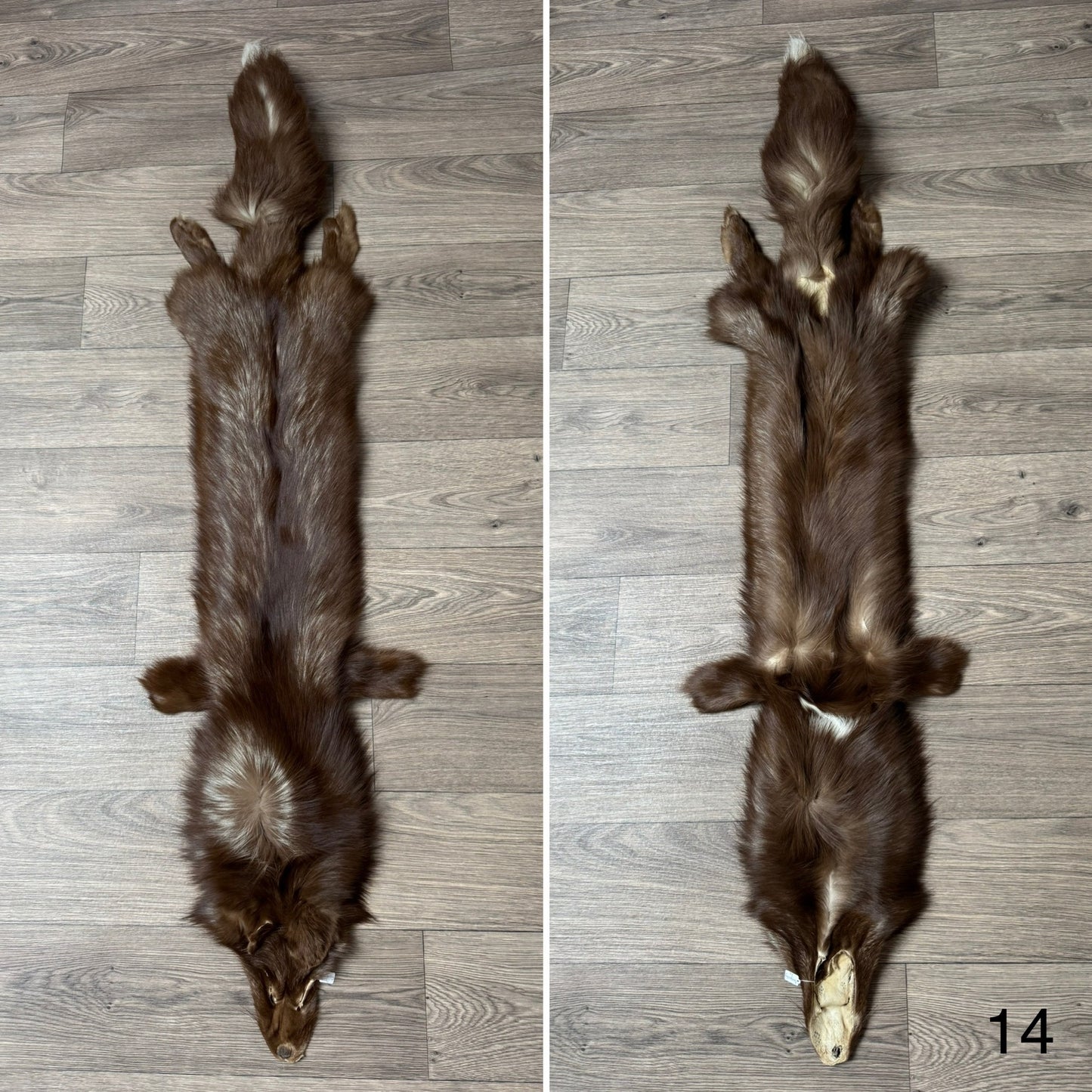 Burgundy fox pelt (14)