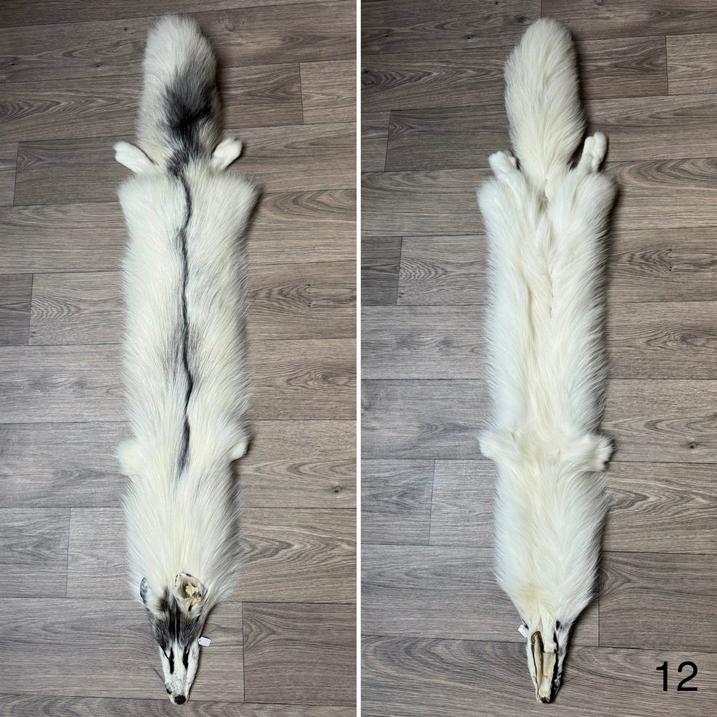Cross Marble fox pelt (12)