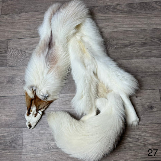 Sun Glow fox pelt (27)