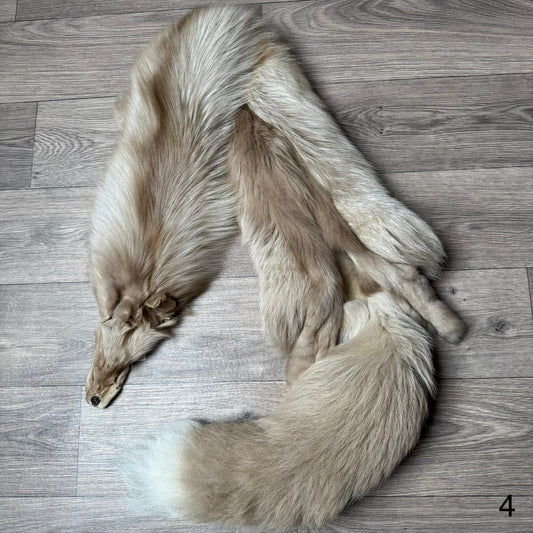 Amber fox pelt (4)