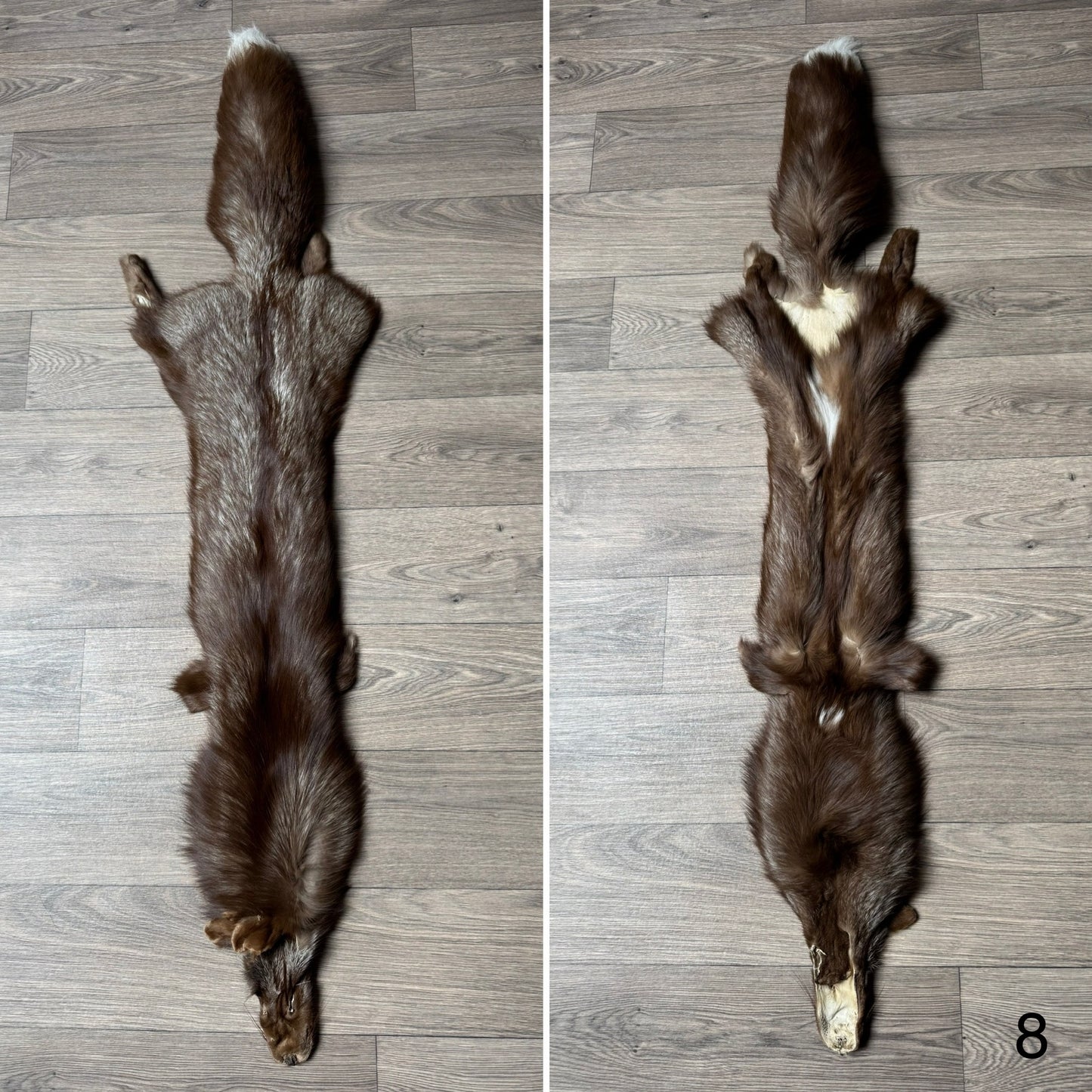 Burgundy fox pelt (8)