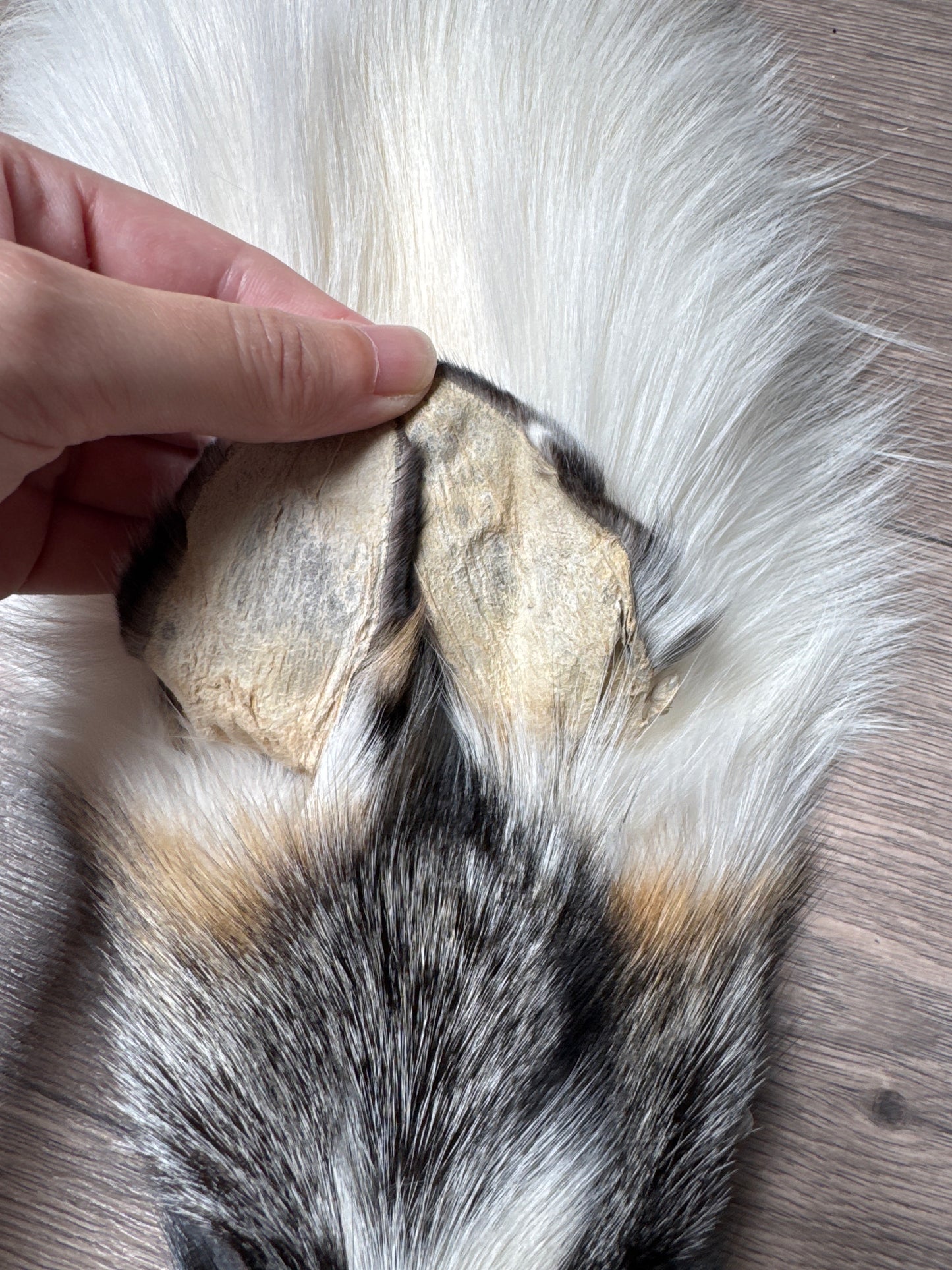 Cross Marble fox pelt (5)