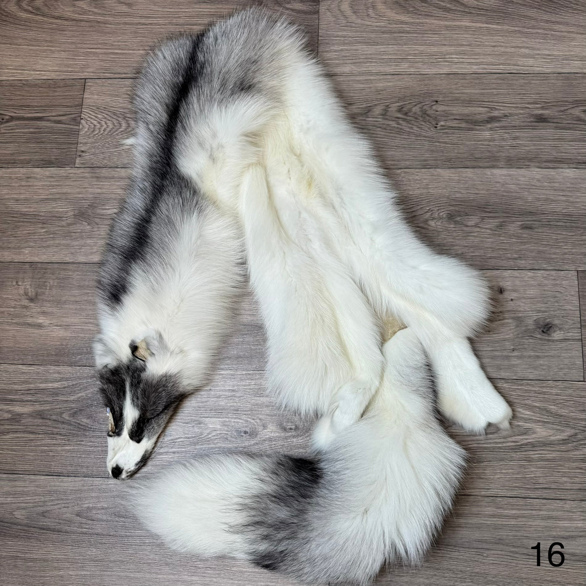Marble Frost fox pelt (16)