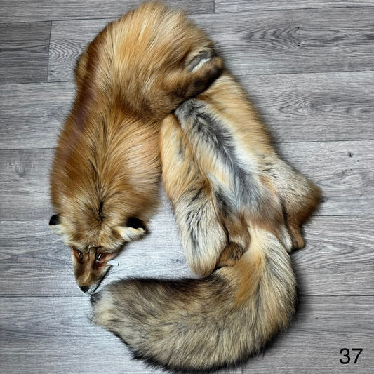 Gold fox pelt (37)