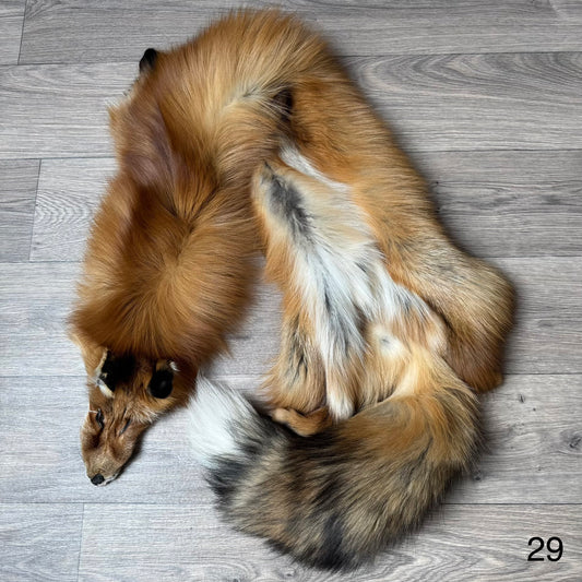 Gold fox pelt (29)