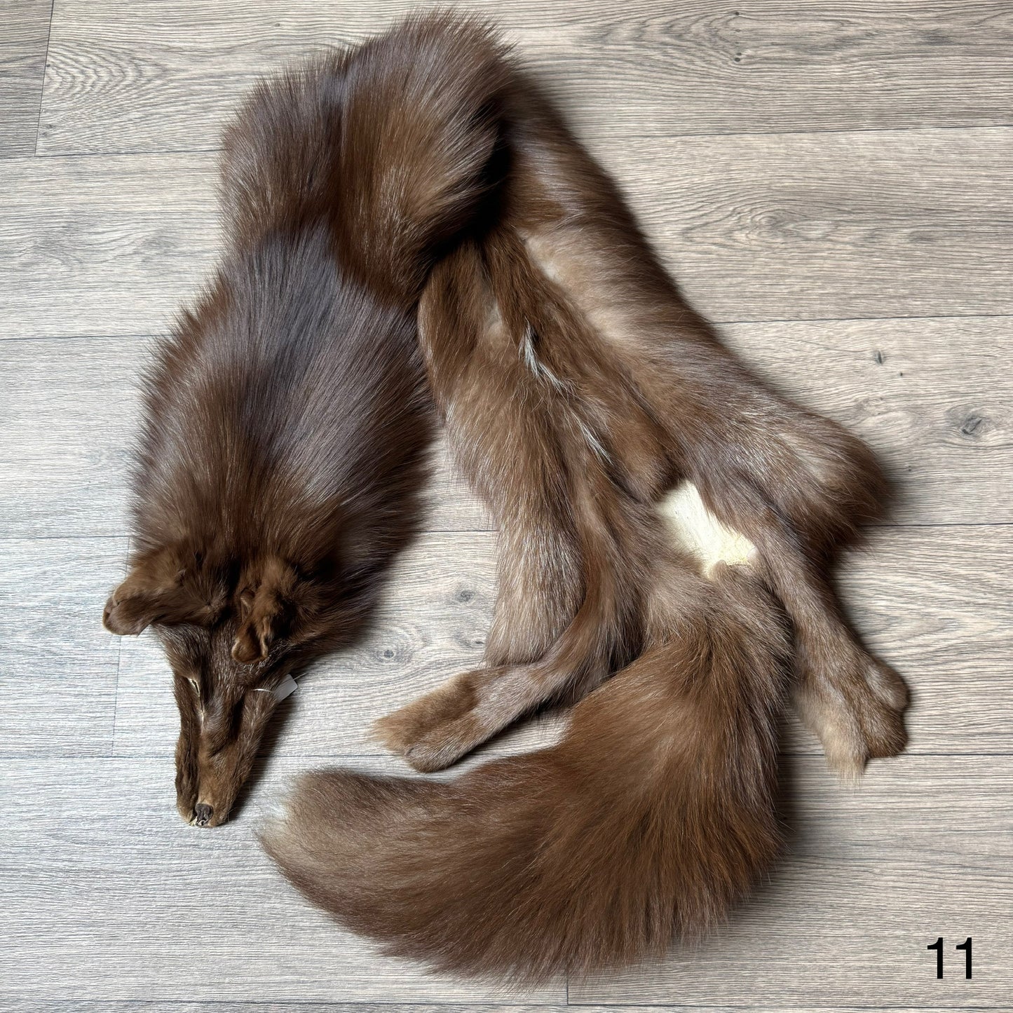 Burgundy fox pelt (11)