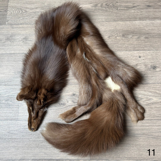Burgundy fox pelt (11)