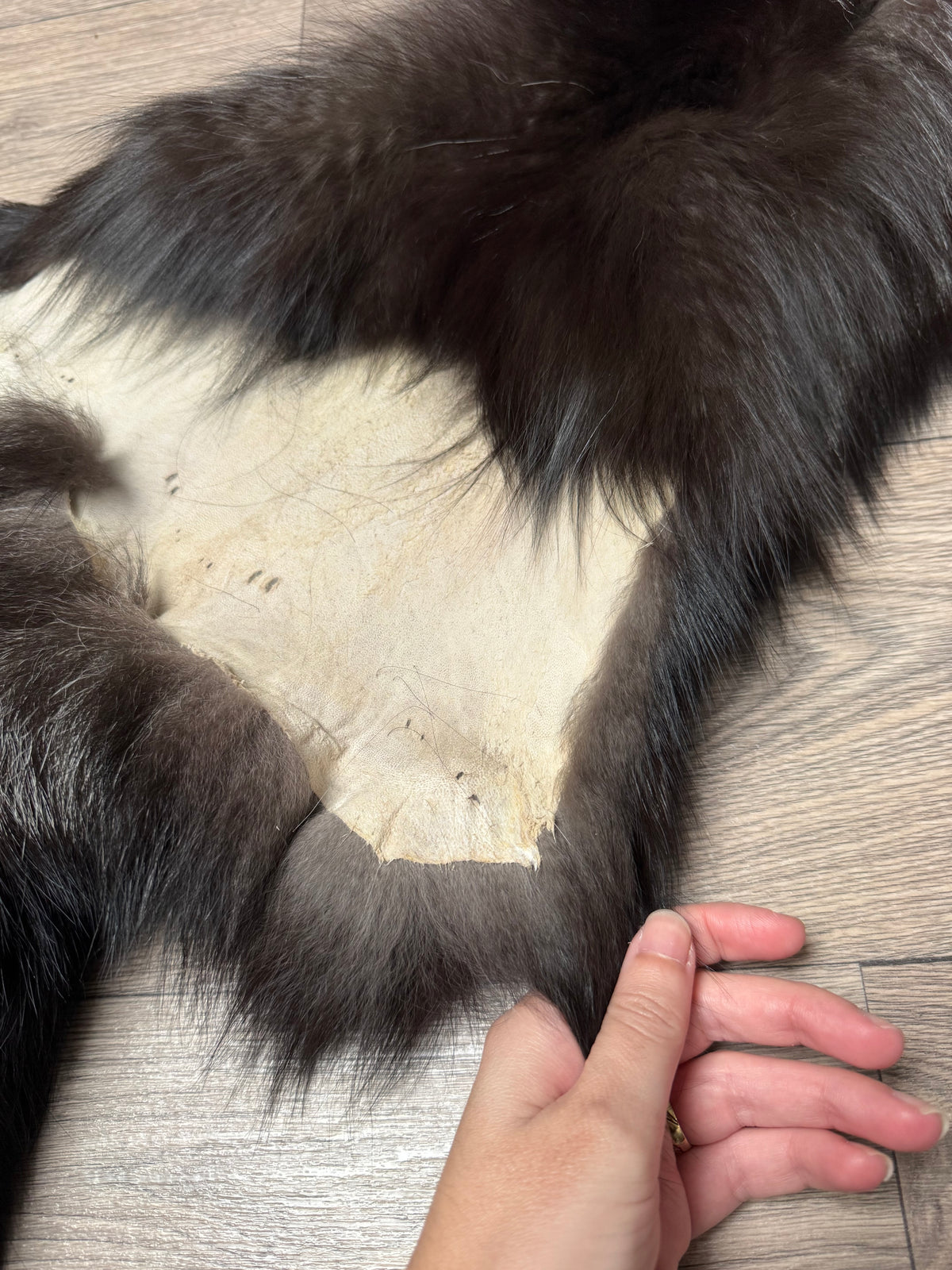 Silver fox pelt (18)