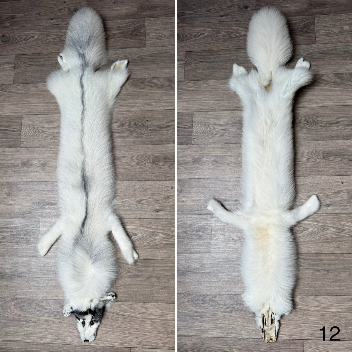 Arctic Marble fox pelt (12)