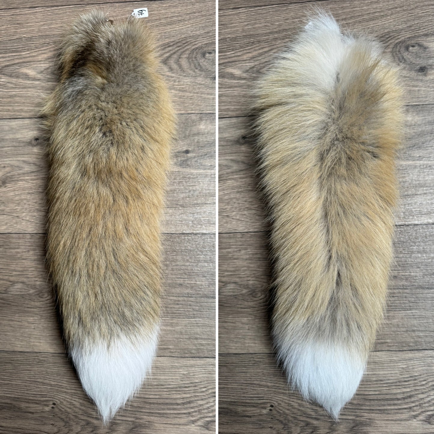 Golden Island fox tail keychain (79)