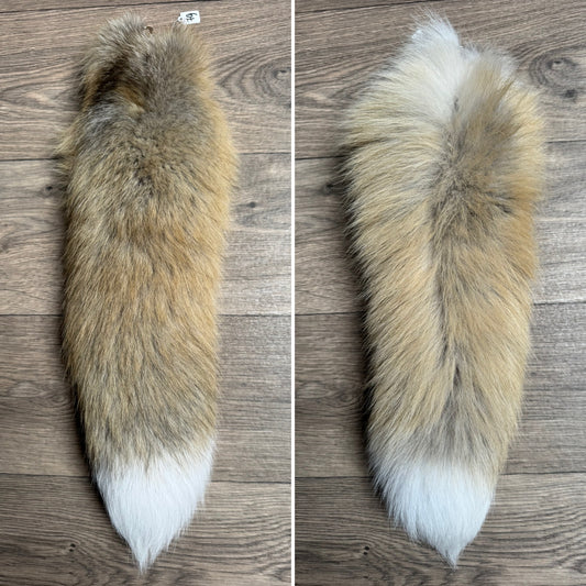 Golden Island fox tail keychain (79)