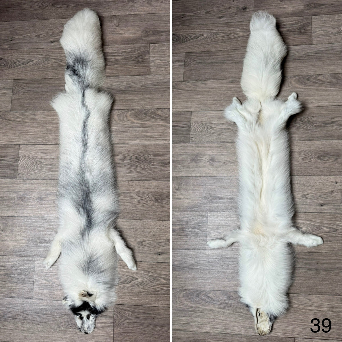 Arctic Marble fox pelt (39)