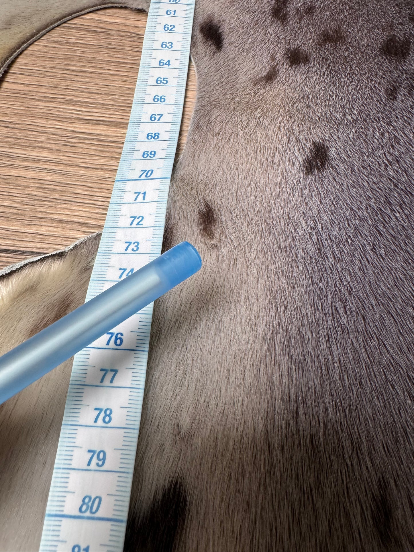 Harp seal skin (3)