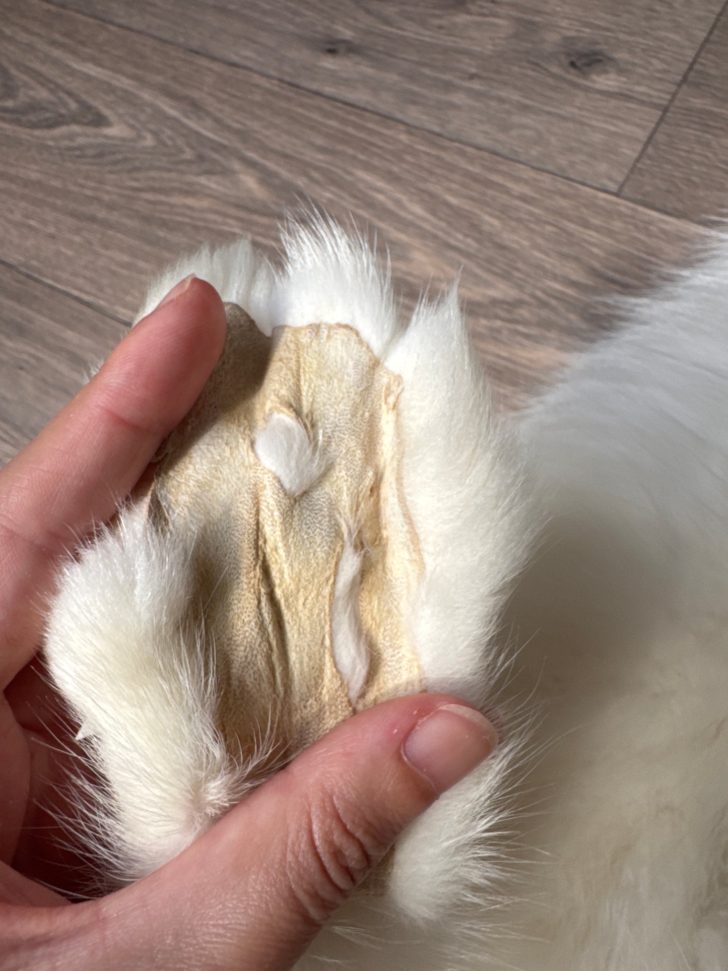 Cross Marble fox pelt (20)