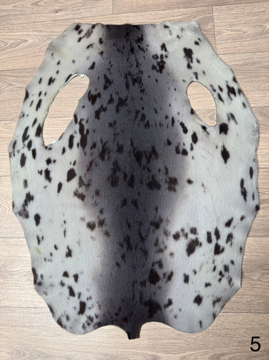Harp seal skin (5)