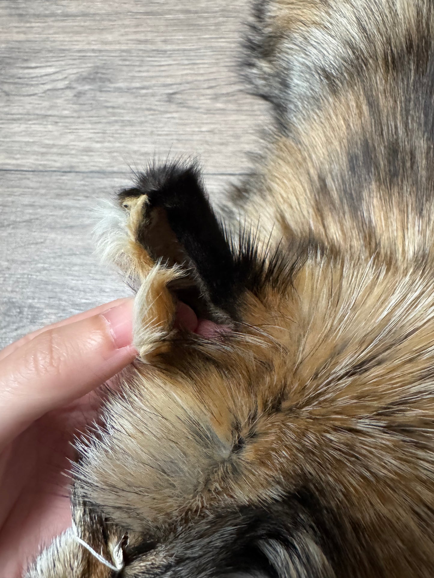 Smokey fox pelt (10)