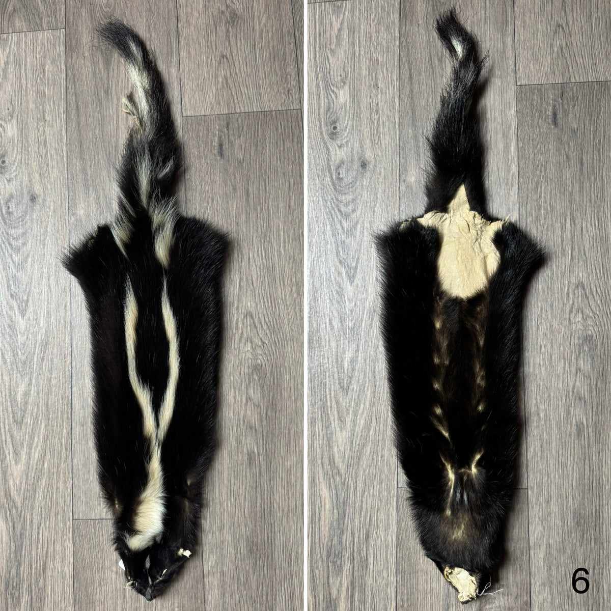 Skunk pelt (6)