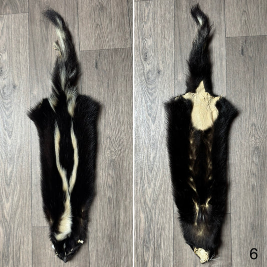 Skunk pelt (6)