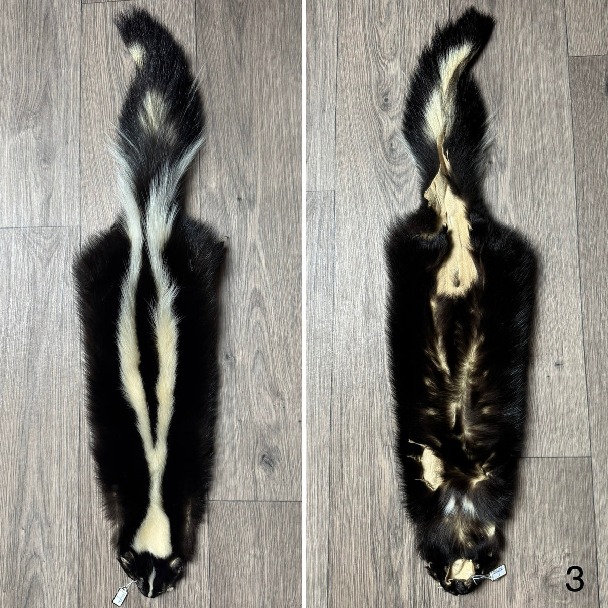Skunk pelt (3)