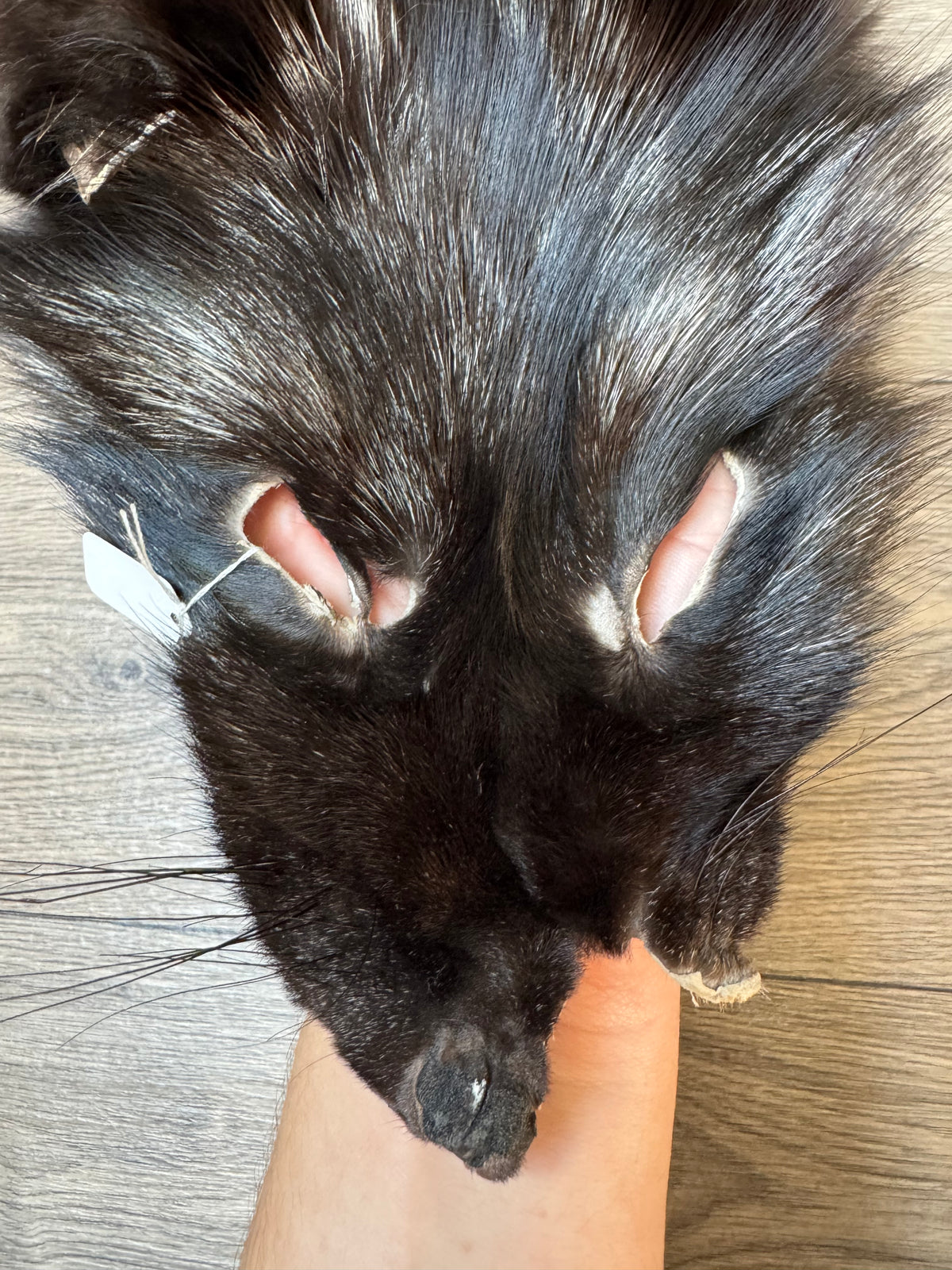 Silver fox pelt (24)