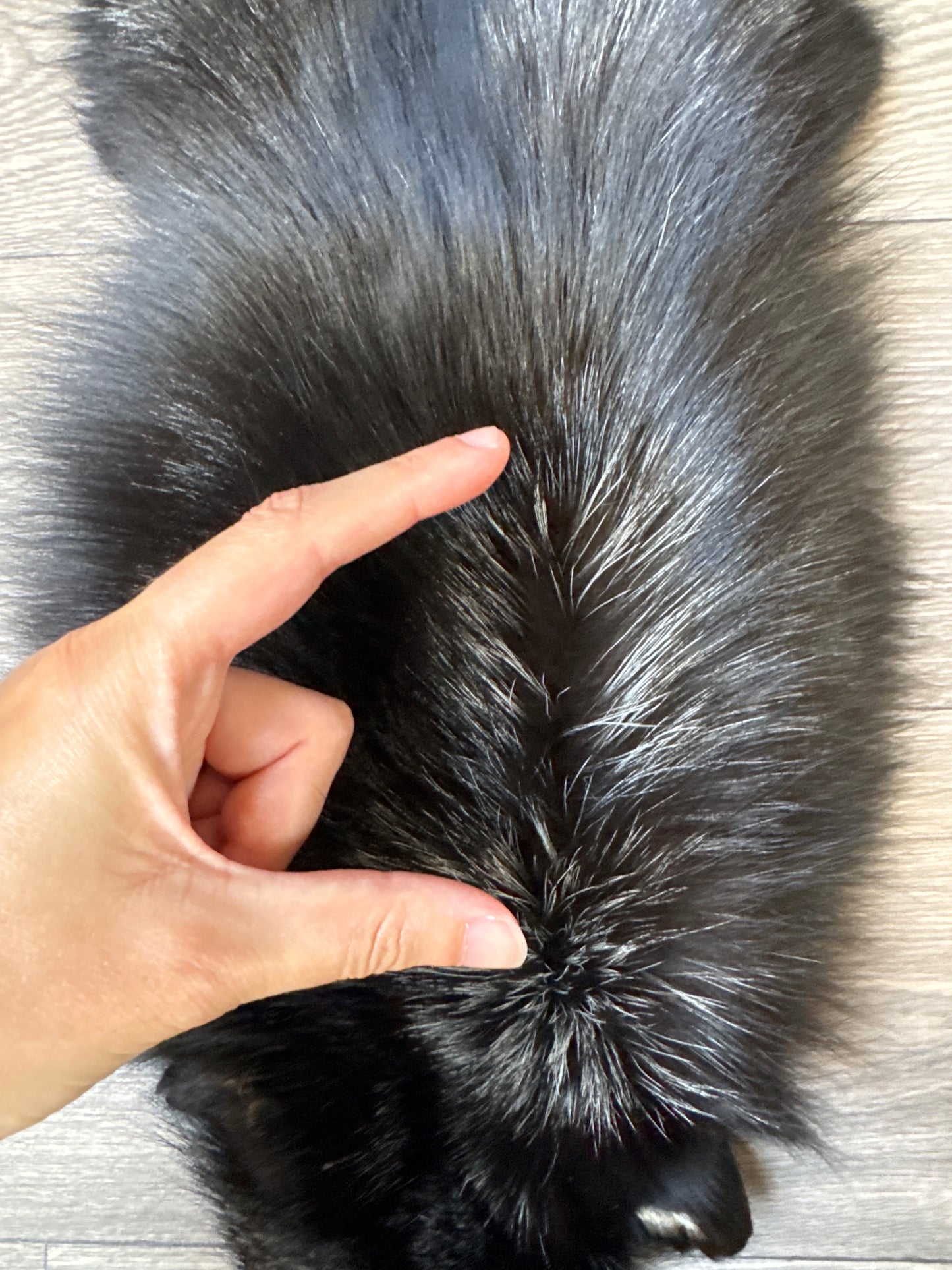 Silver fox pelt (10)