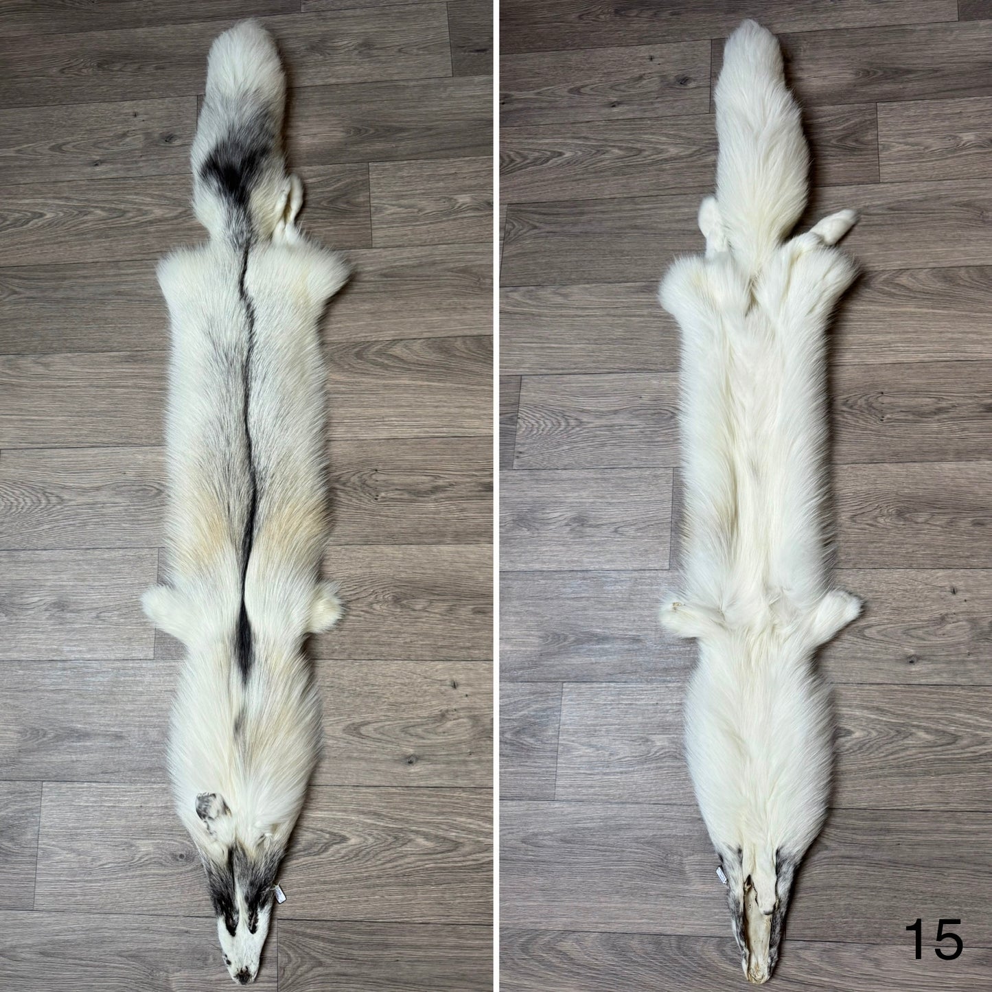 Cross Marble fox pelt (15)